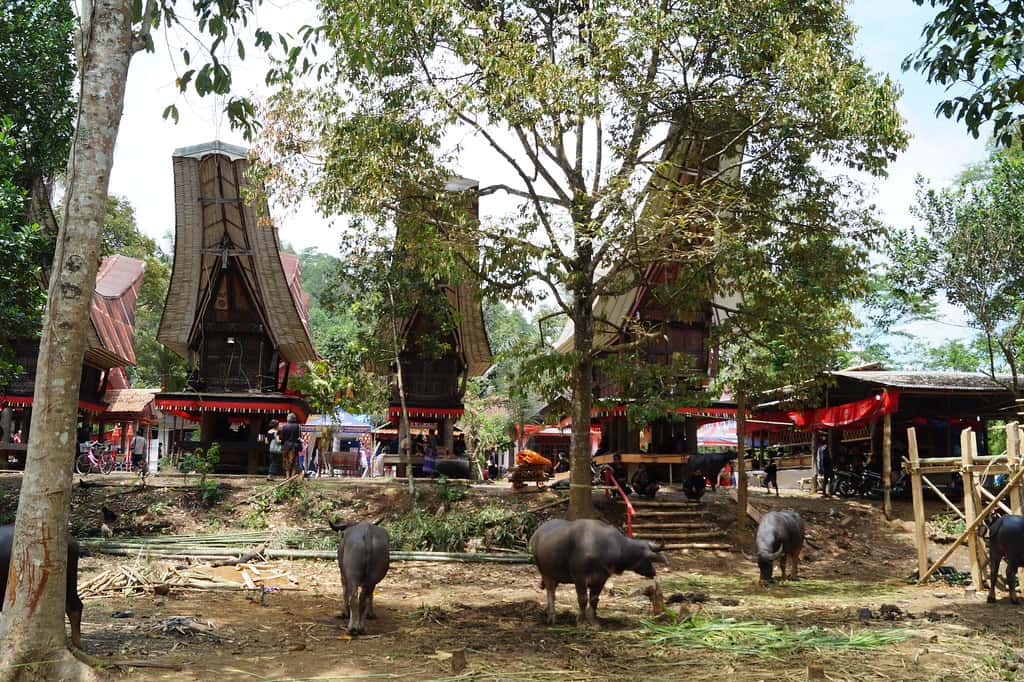 Burial Customs Facts