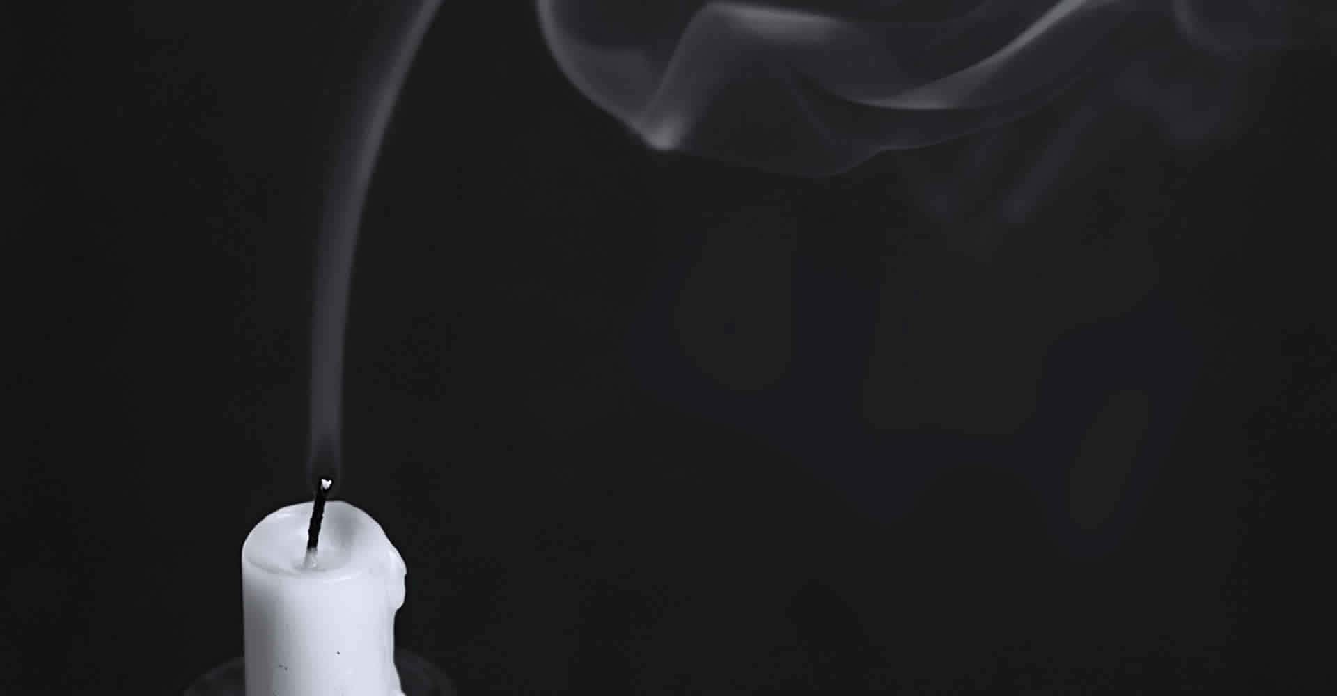 Roots of Words facts