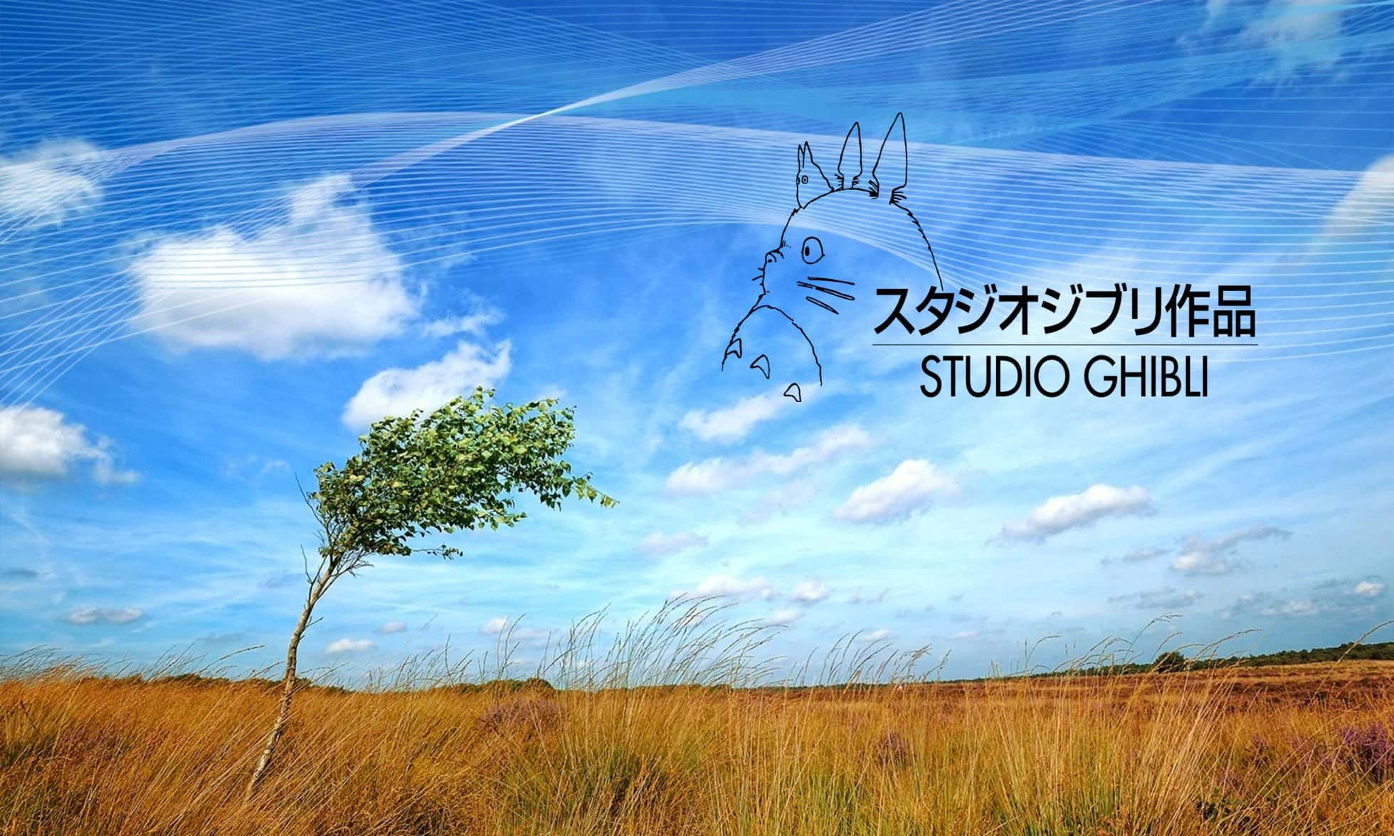 Studio Ghiblii Facts