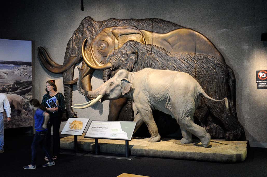 People Who Love Facts