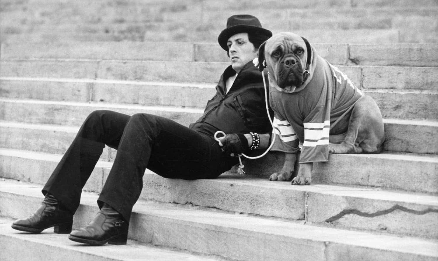 American actor Sylvester Stallone sits on a staircase while holding the leash of a dog wearing a football jersey