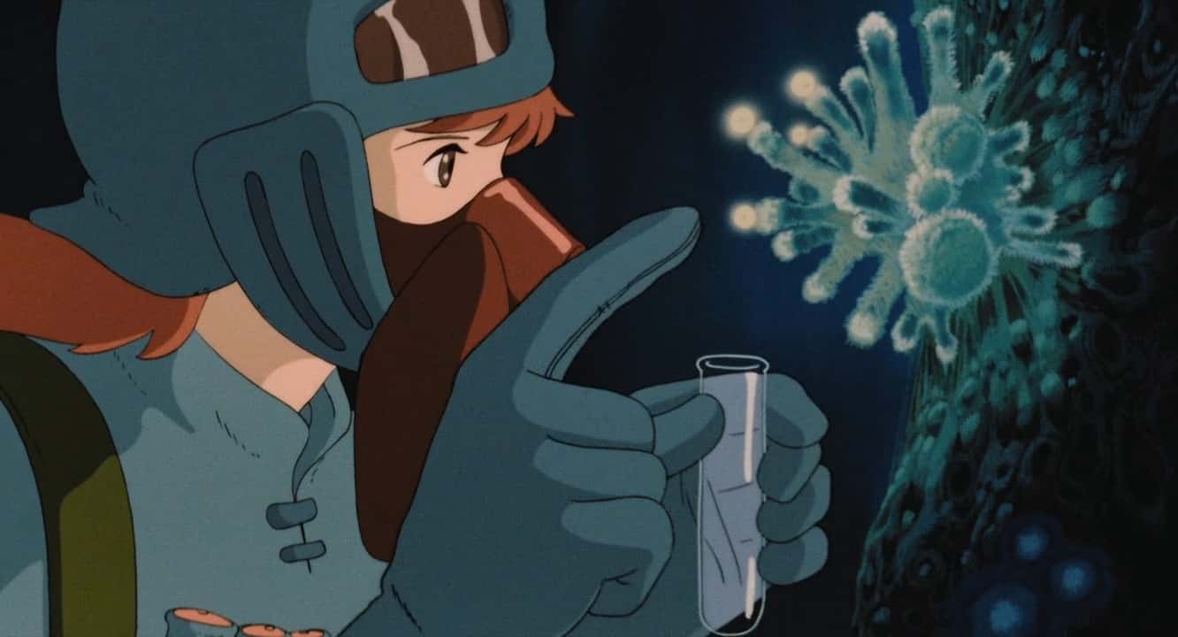 Studio Ghiblii Facts