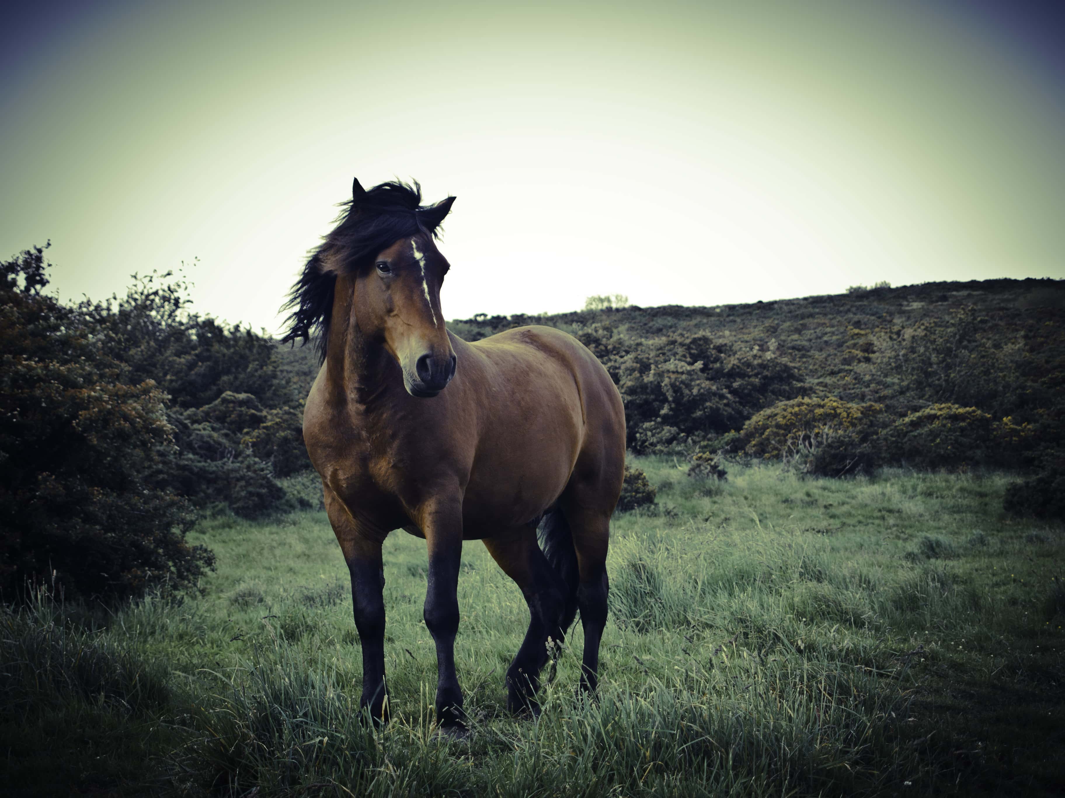 Hollywood Accidents, Deaths and Disasters facts