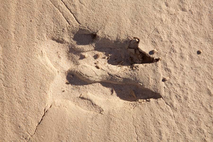 History's Greatest Mysteries Facts