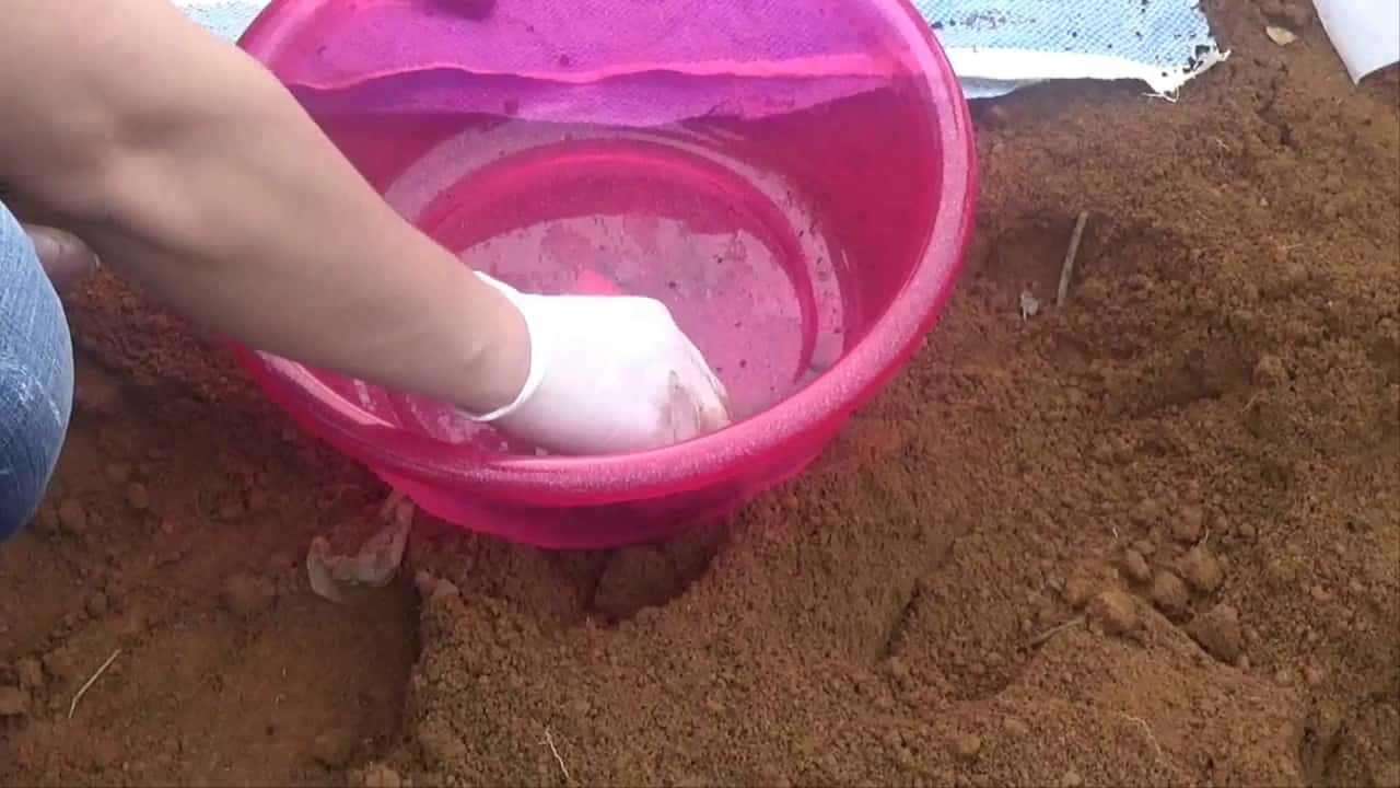 Unconventional Burial Customs facts