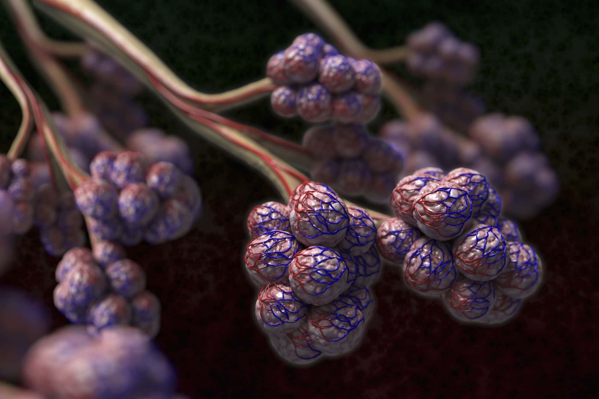 People Who Love Facts