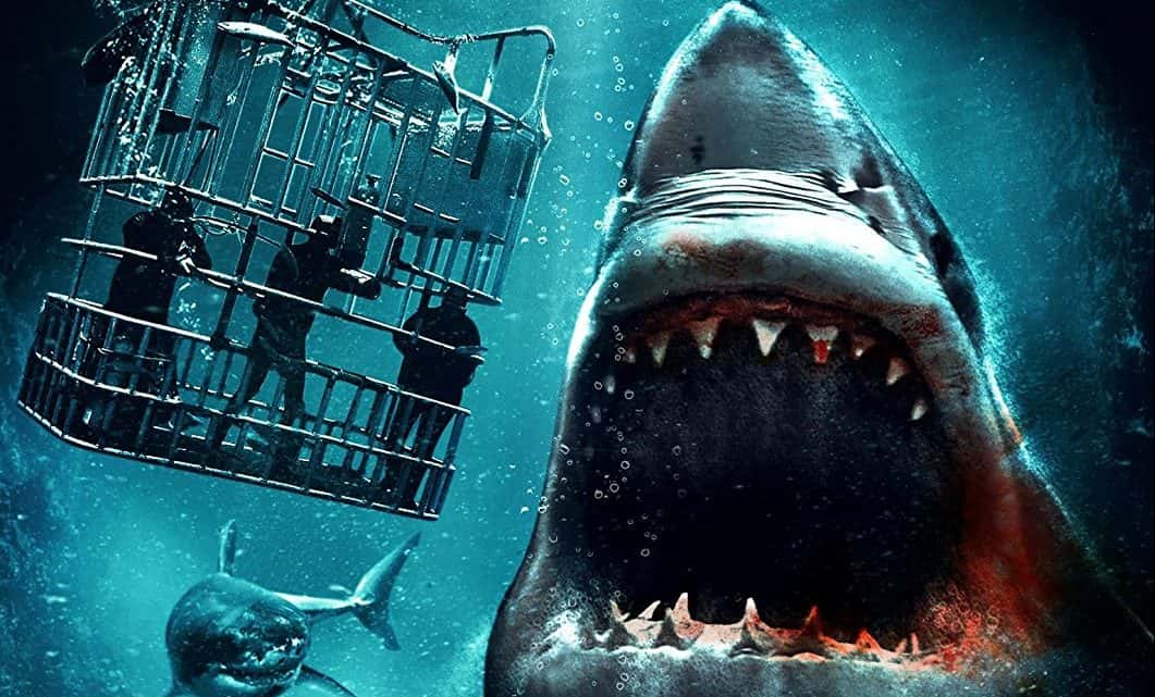 Hollywood Accidents, Deaths and Disasters facts