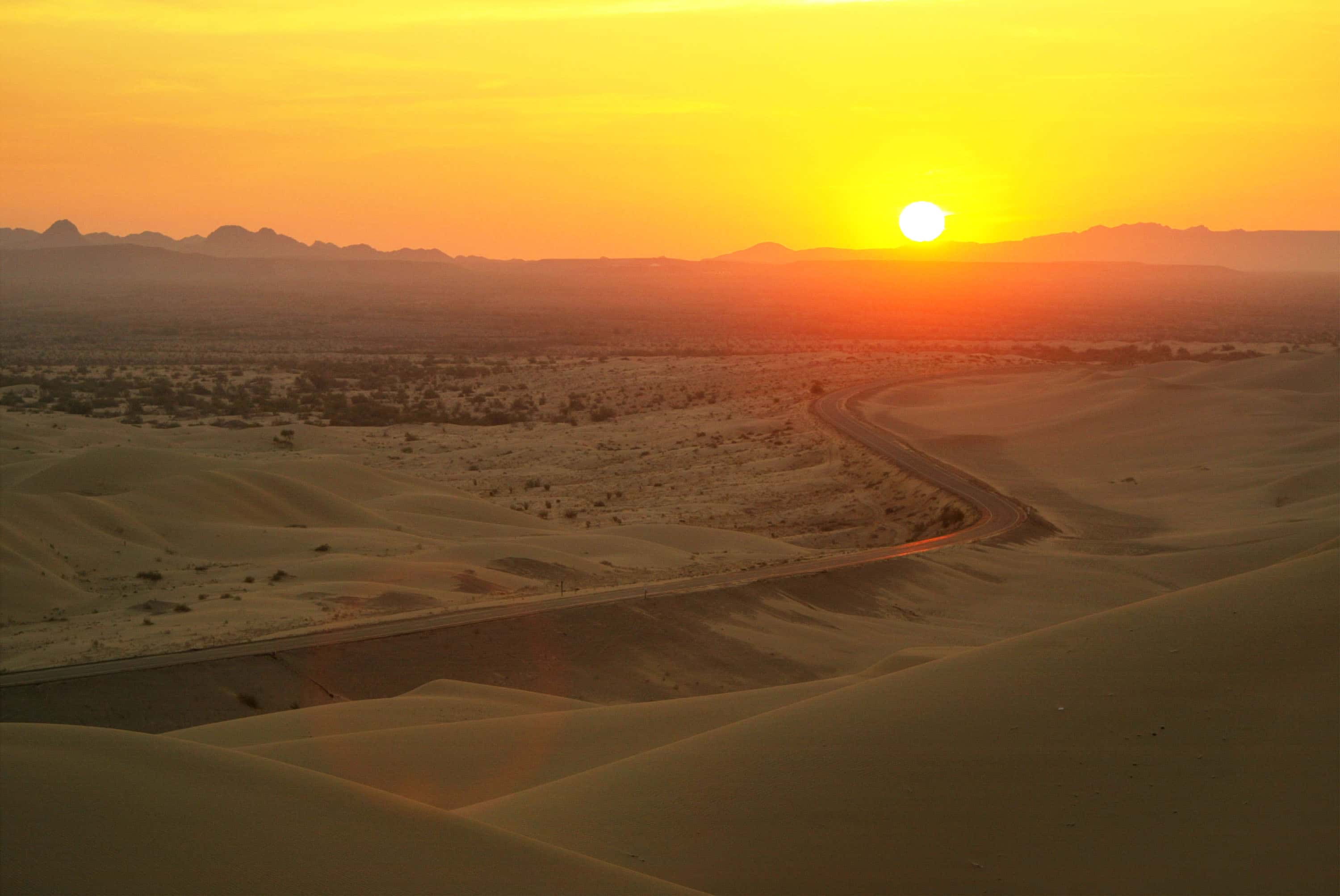 Roots of Words facts