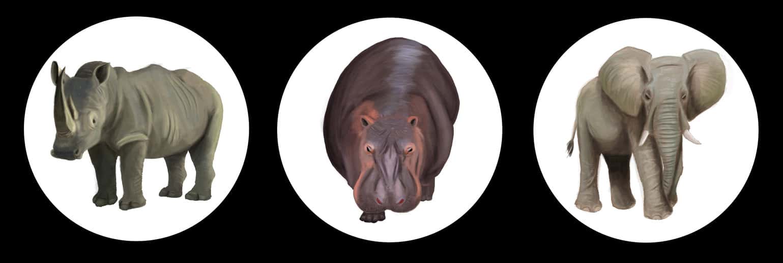 People Who Love Facts