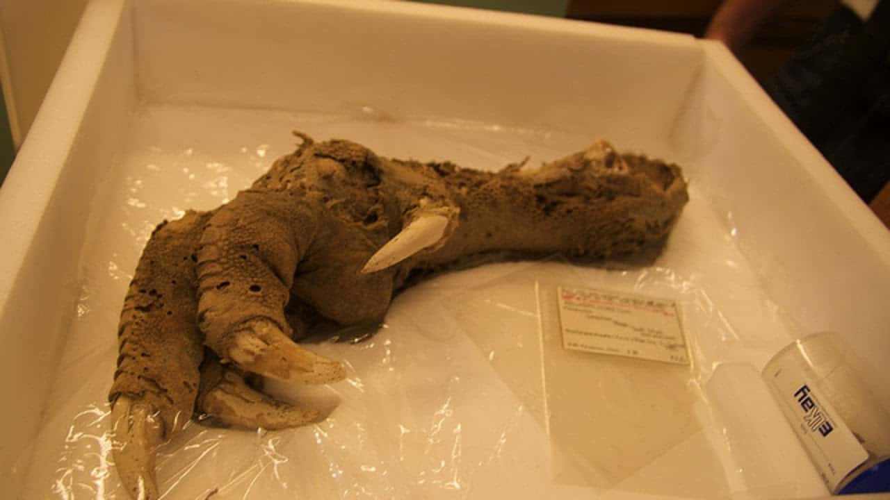 Ancient Archaeological Discoveries Facts