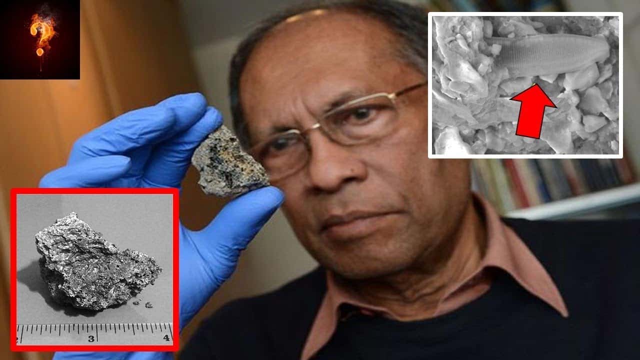 Strange Objects in Museums Facts