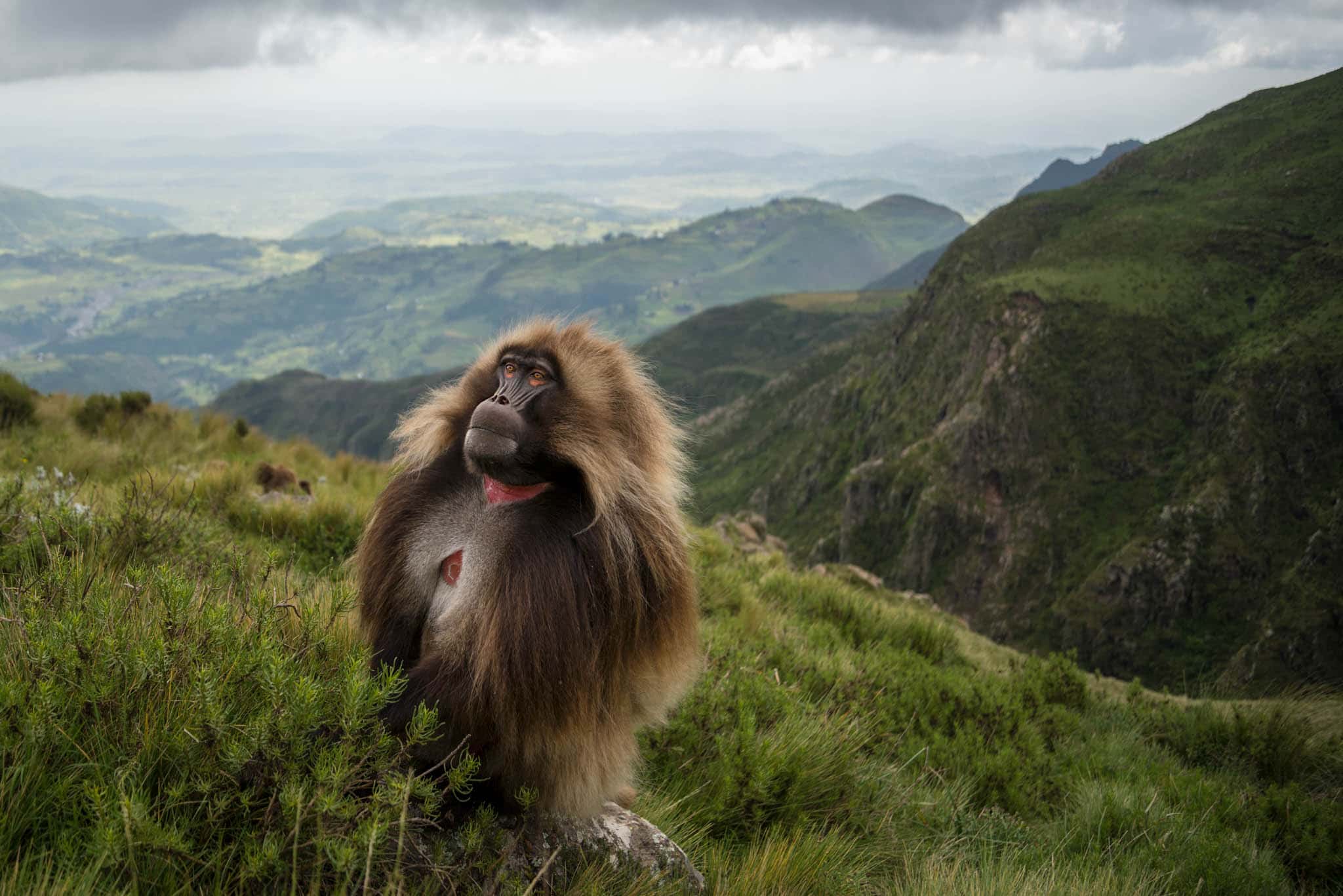 Cases of Mass Hysteria facts 