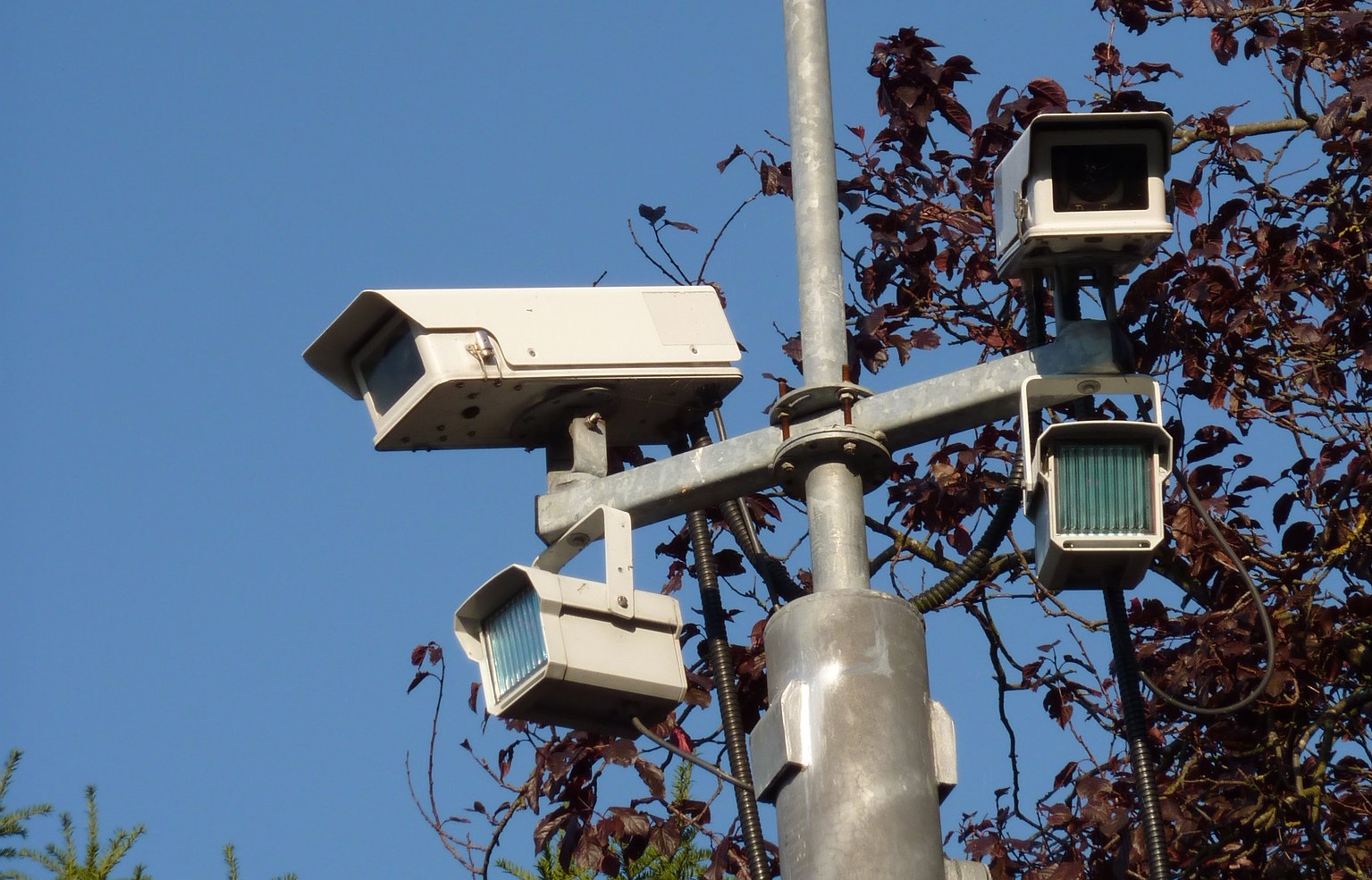 Facts About Science Fiction That Became Reality