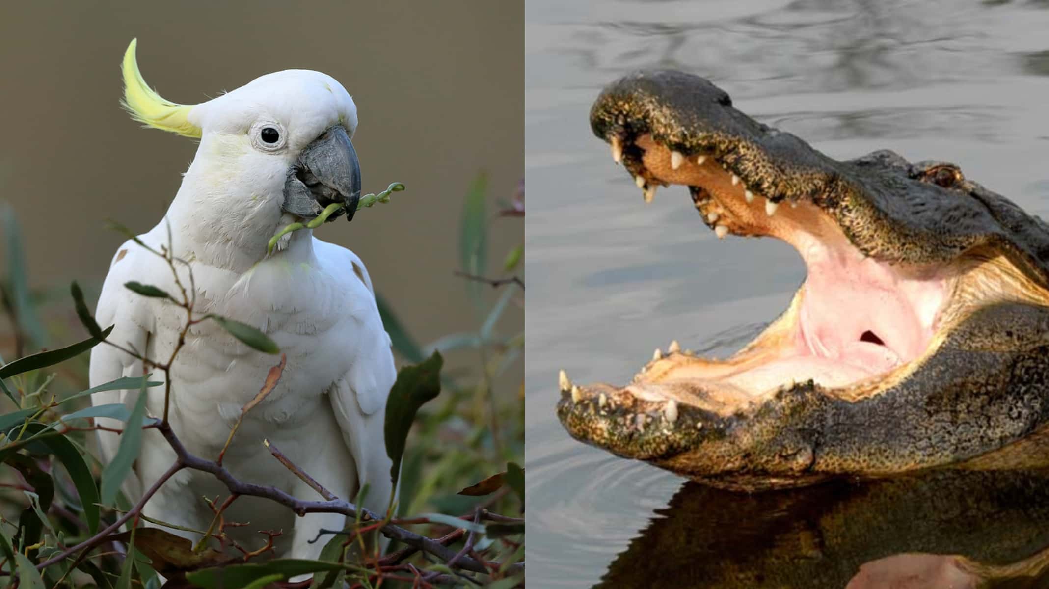 People Love Fun Facts