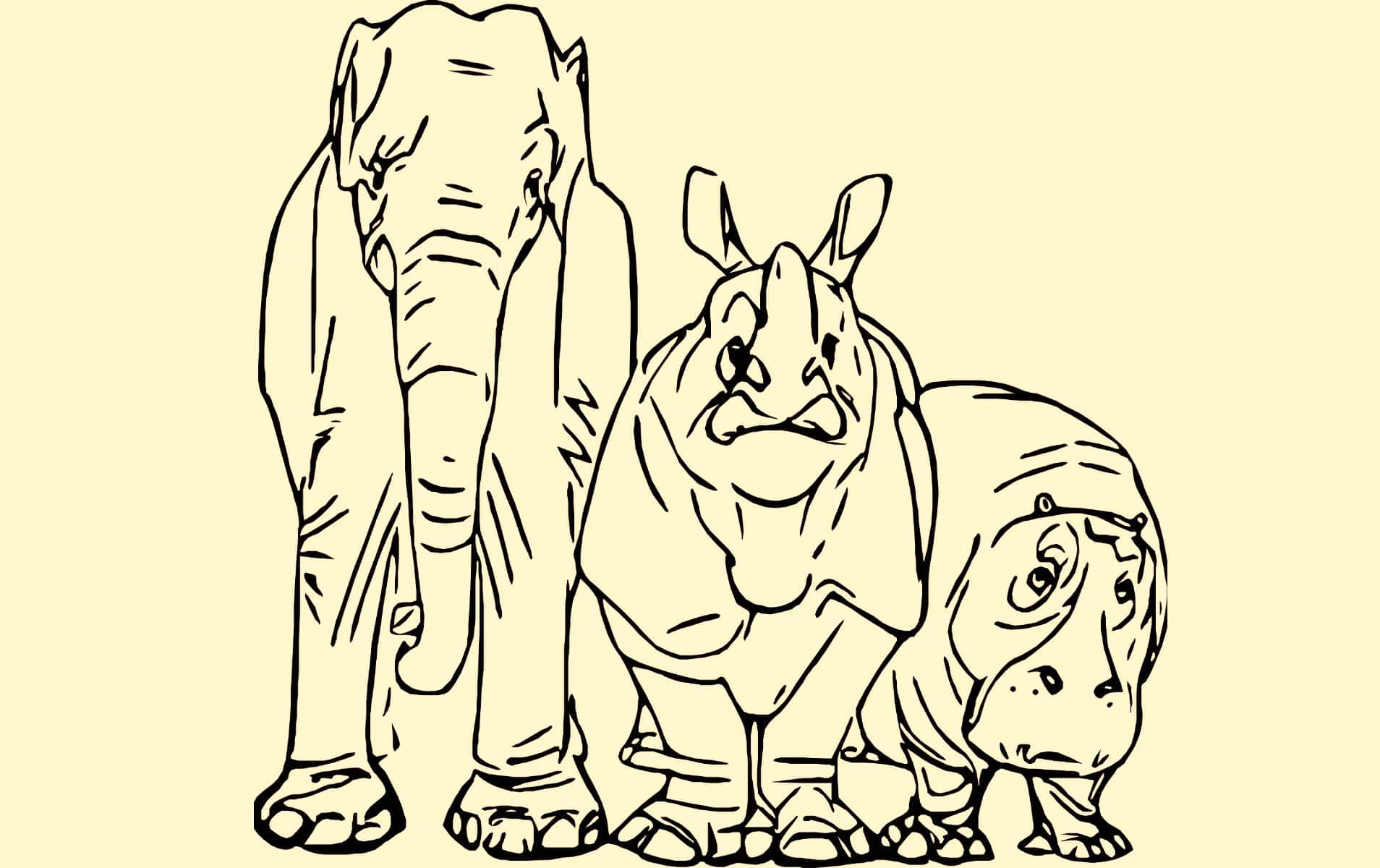 People Love Fun Facts