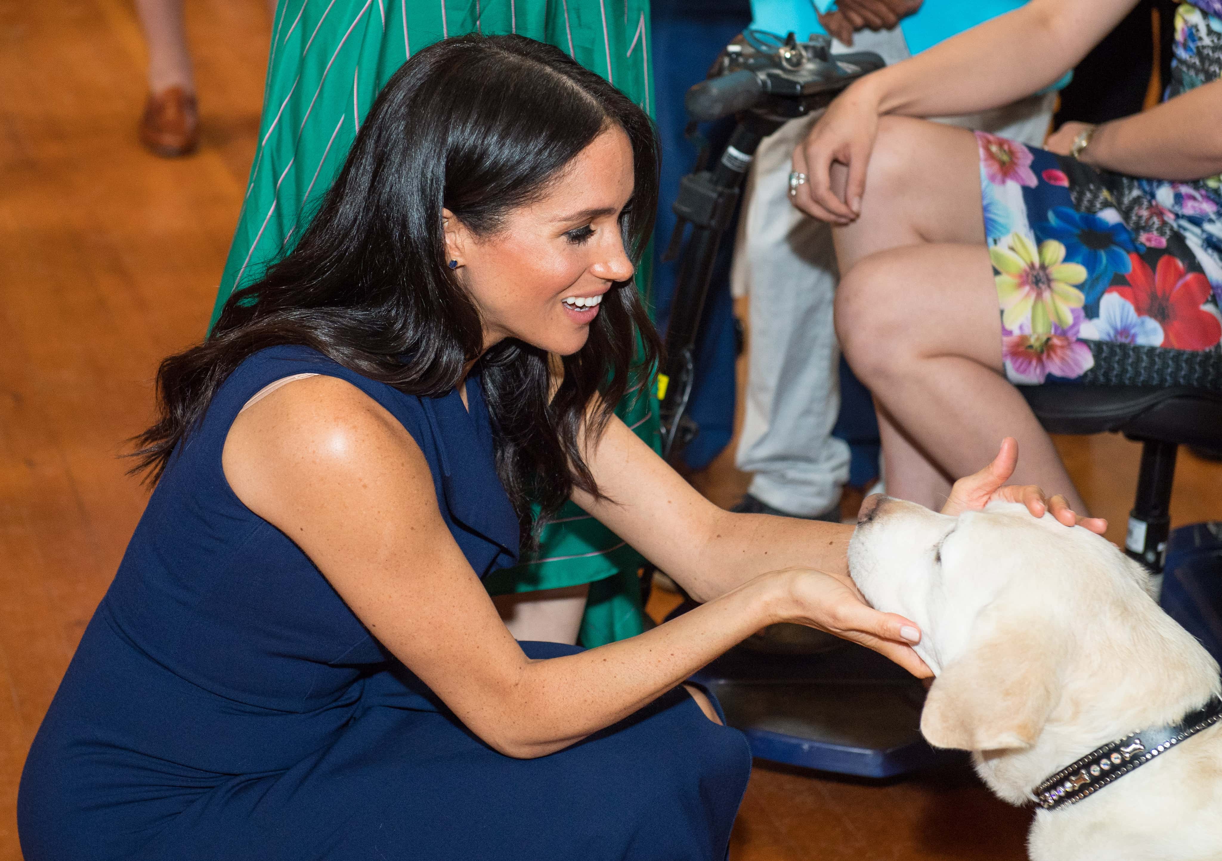 Meghan, Duchess of Sussex strokes a guide dog at a reception given by the Governor of Victoria