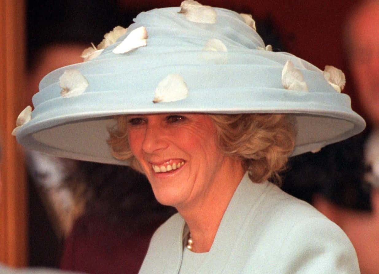 Princess Diana Facts