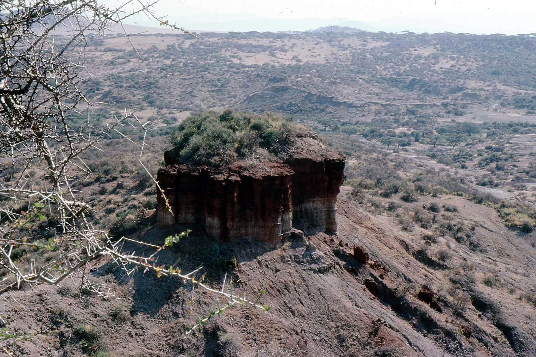 Archaeological Discoveries Facts