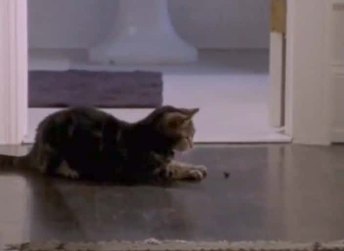 Sex and the City Facts