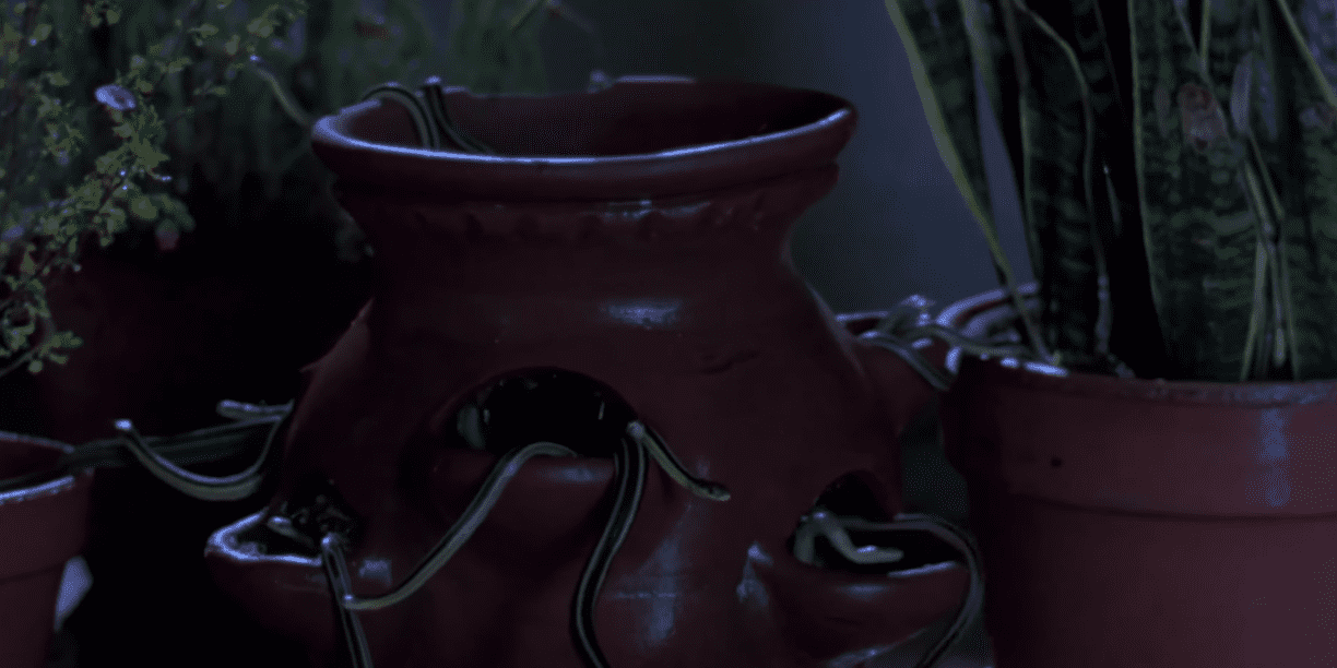 High School Movies Facts