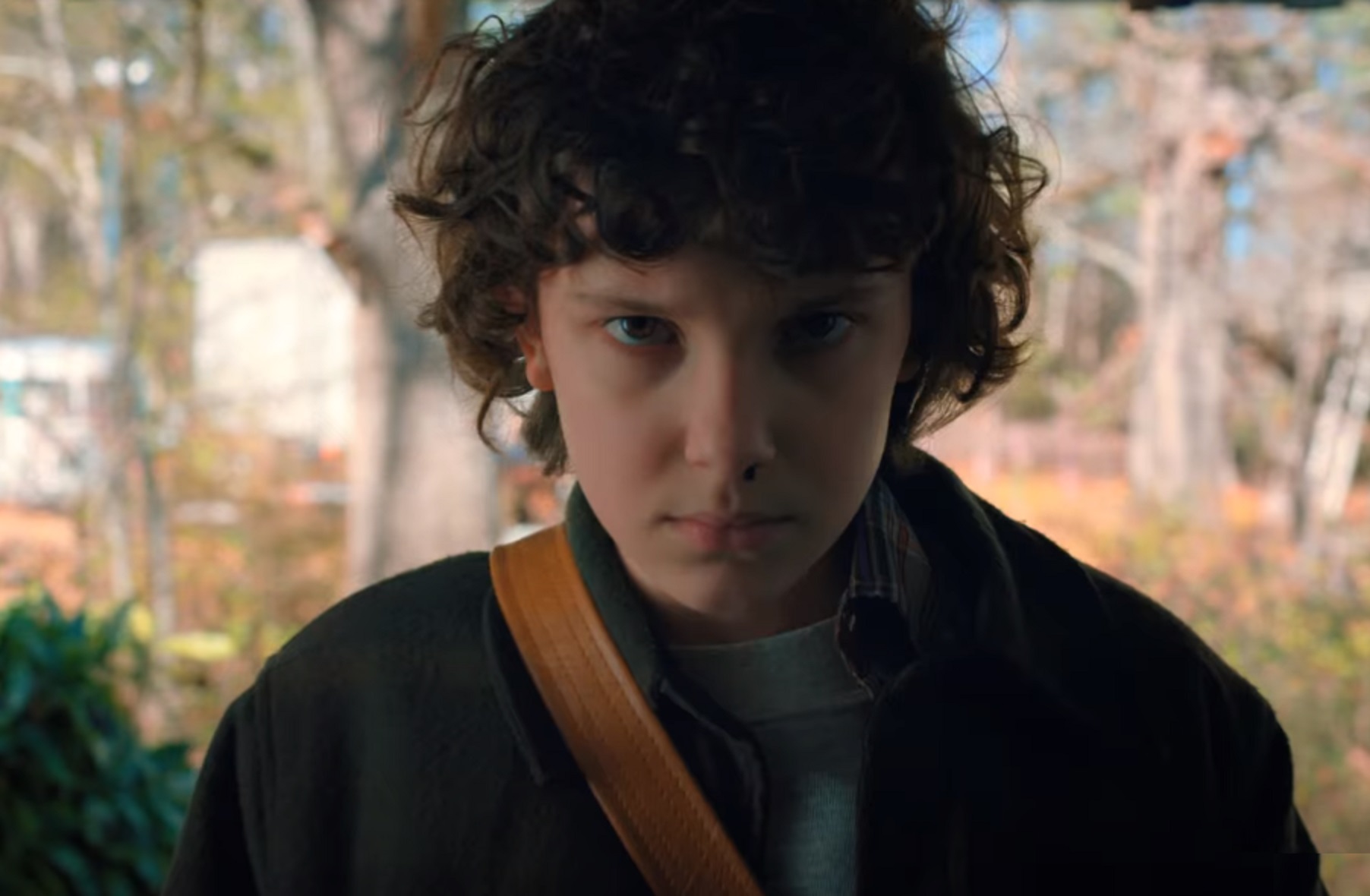 Stranger Things Facts