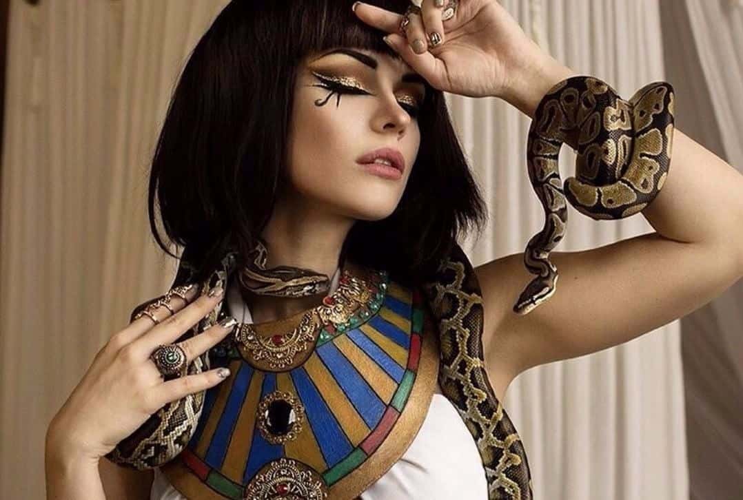 Poisonous Plots Facts