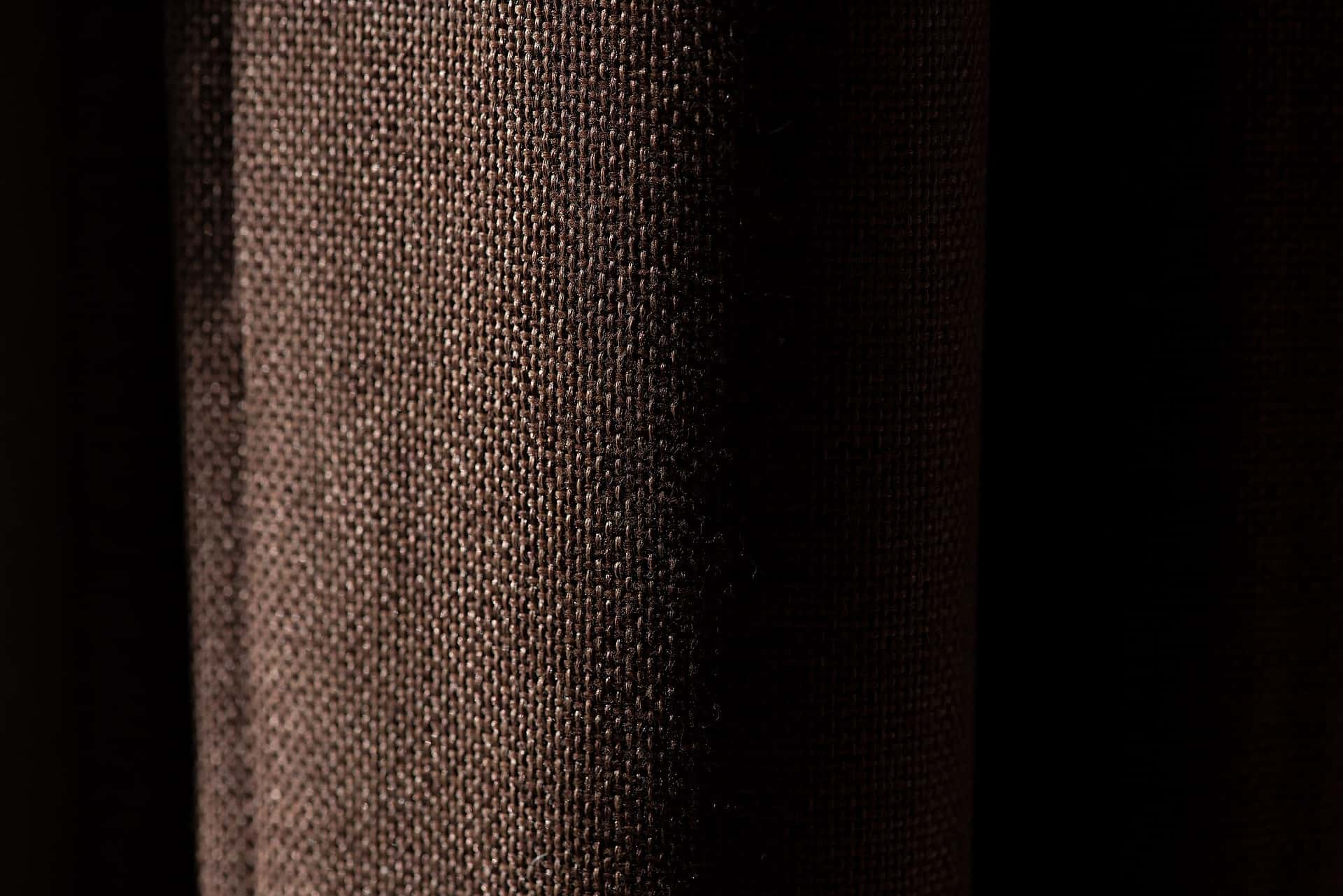 Roots Of Words facts