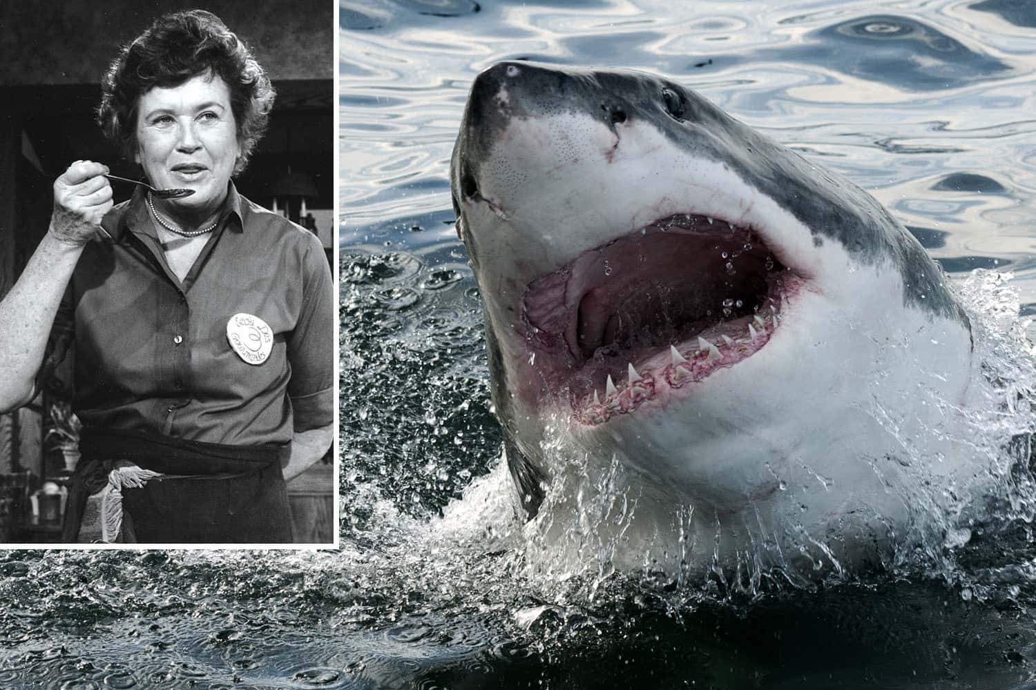 Declassified Information Facts