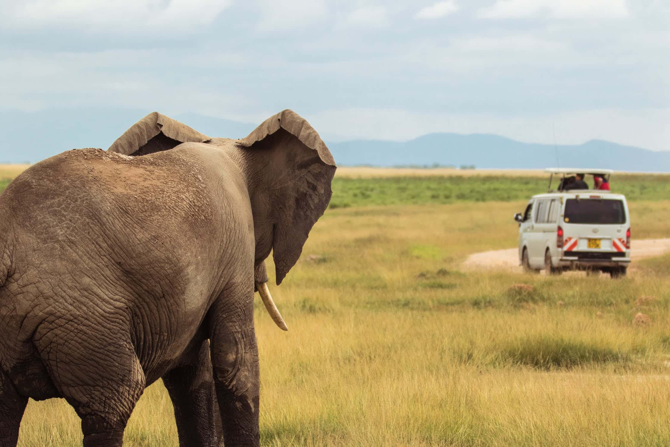 Accidental Deaths Facts