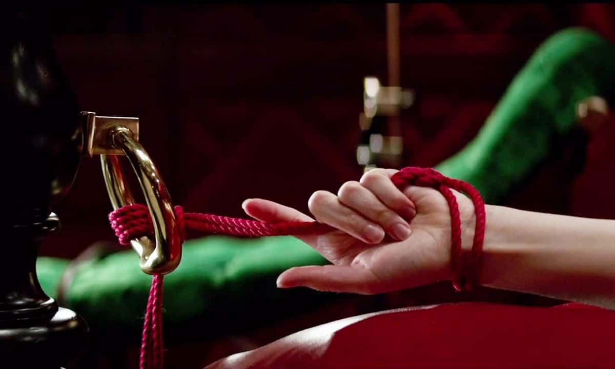 50 Shades of Grey Facts