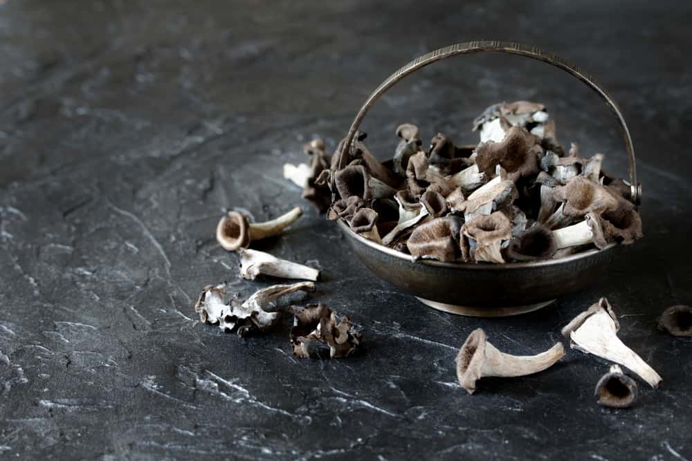 Plots Of History Facts