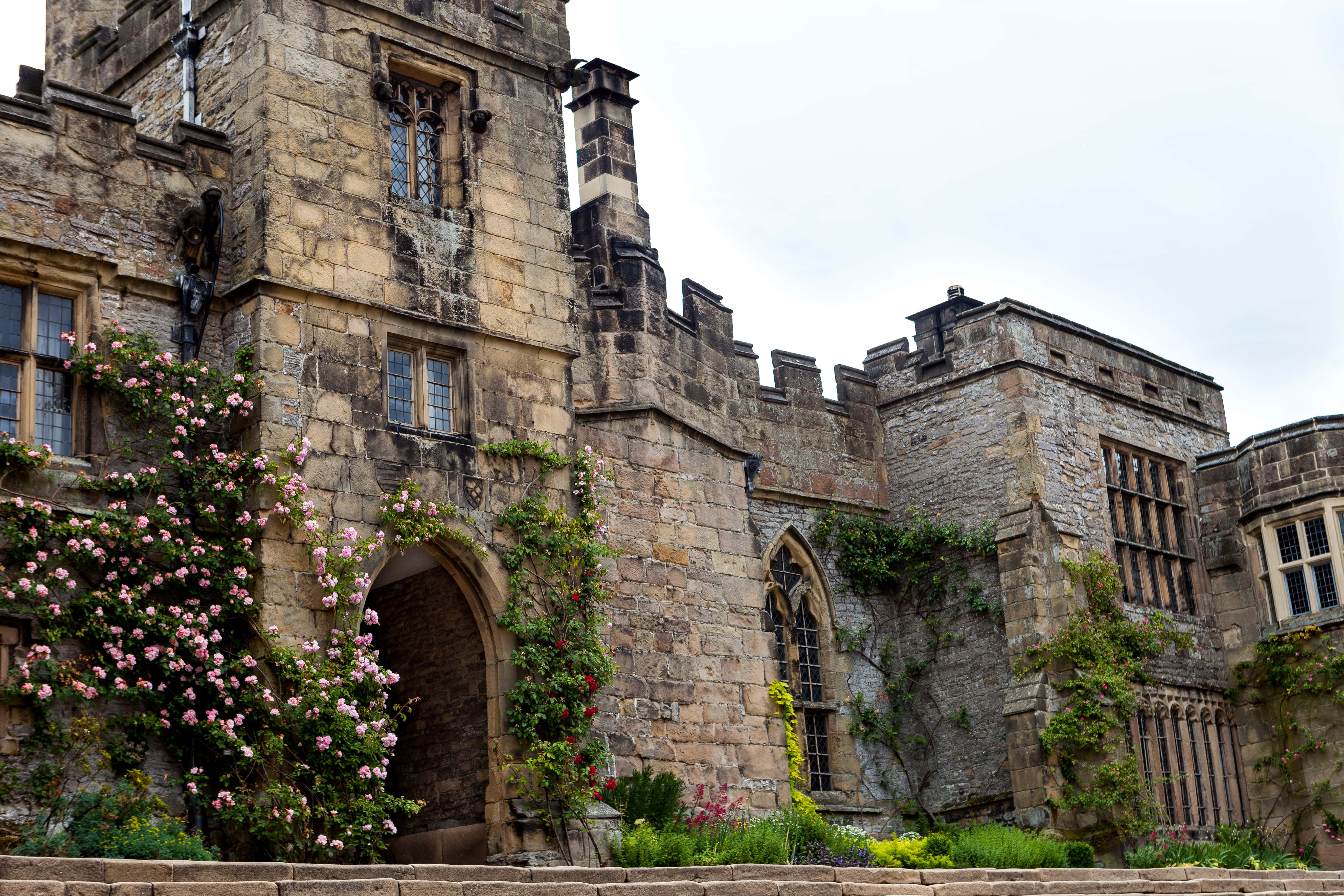 Science Fiction and Fantasy Movies Facts