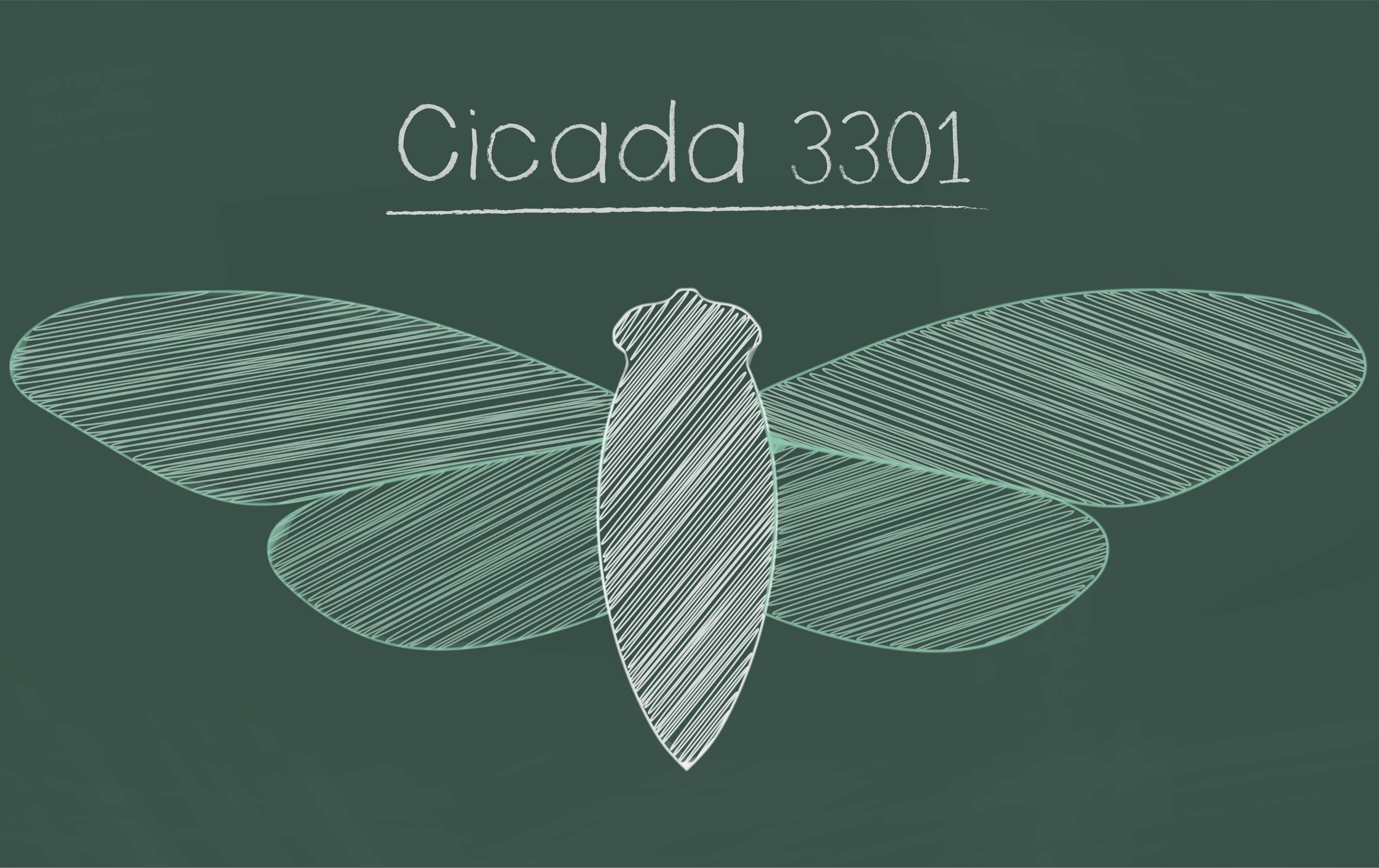 Secret Societies Facts