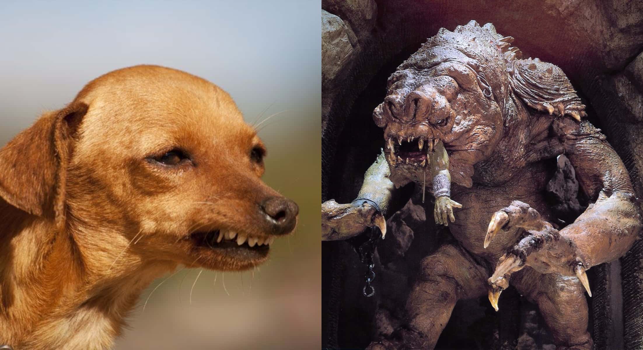 Original Star Wars Trilogy facts