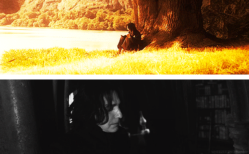 Professor Snape Facts