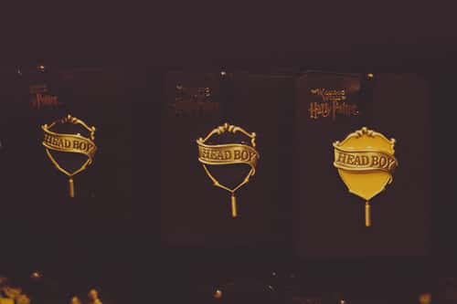 Voldemort Potter Fact