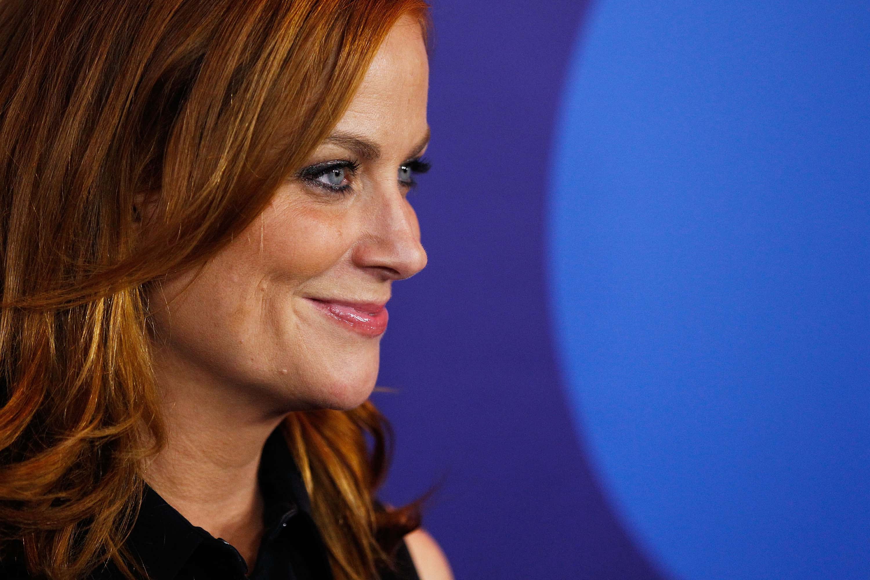 Amy Poehler arrives at the Australian premiere - 2015