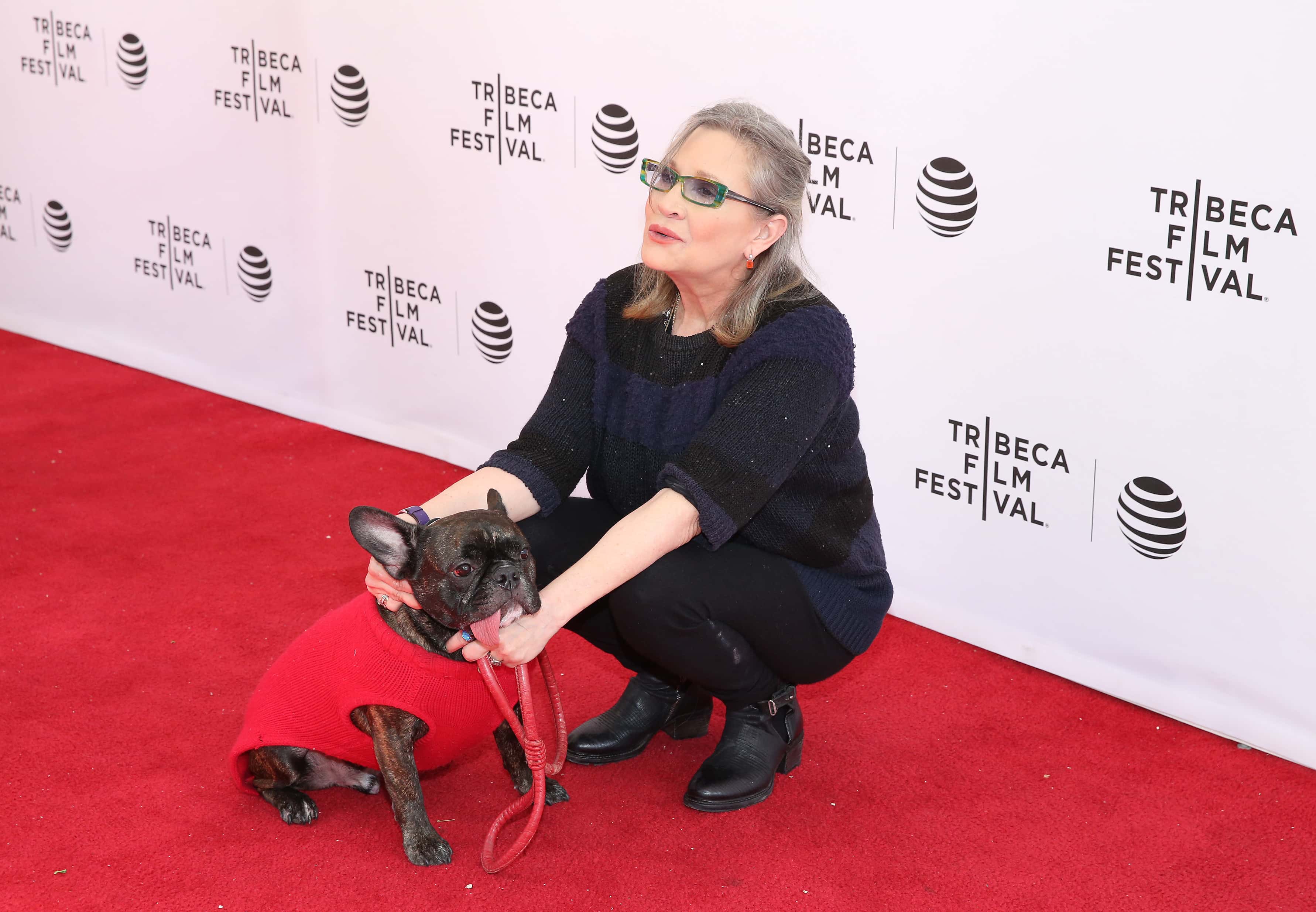 Star Wars: The Last Jedi Facts