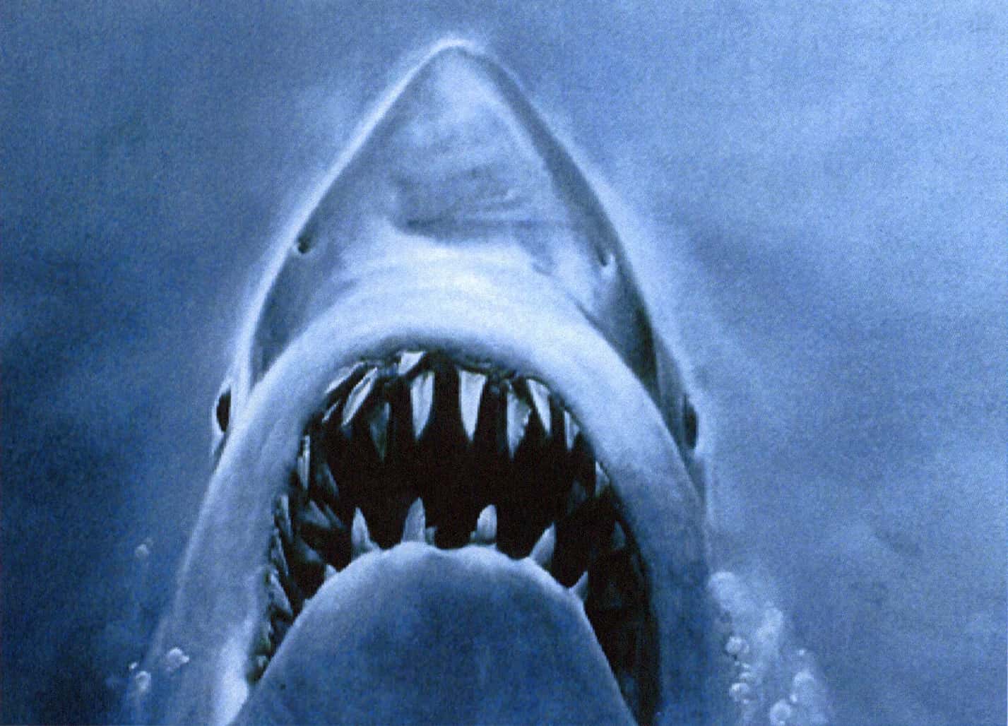 Movie Industry facts