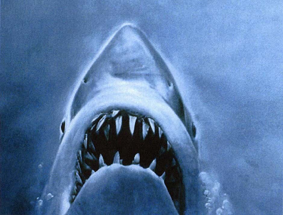 Horror's Scariest Monsters facts