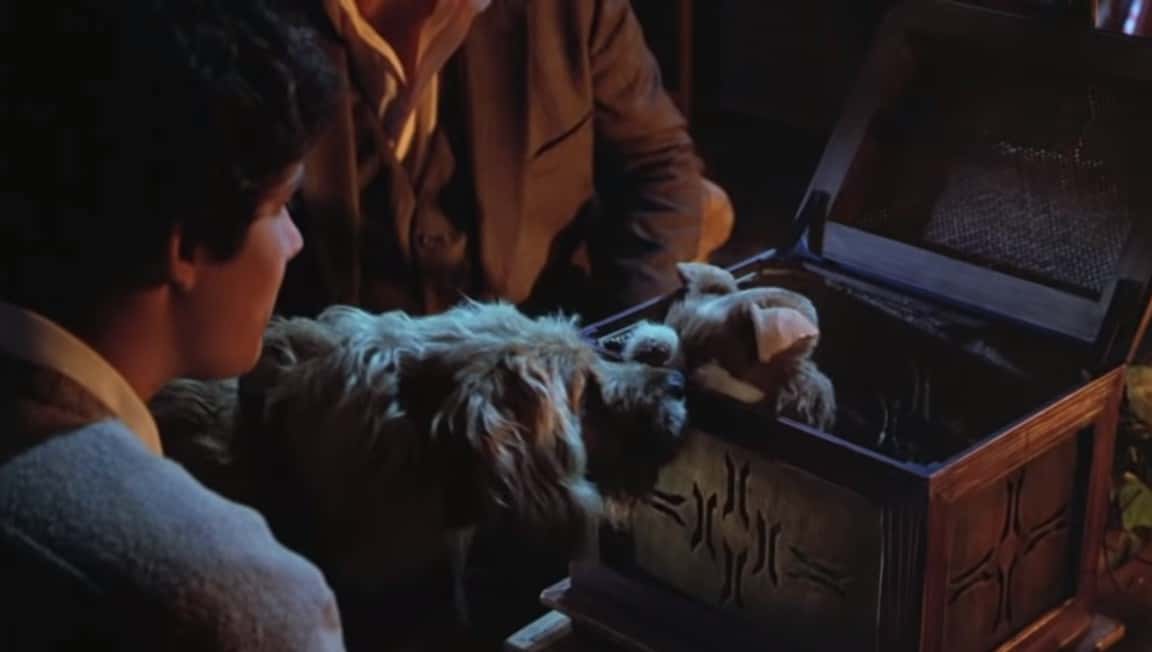 Christmas Movies Facts