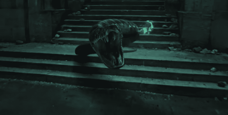 Dark Facts About Lord Voldemort, The Most Terrible Wizard In History