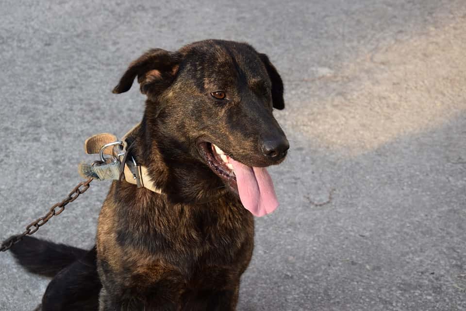 Super Mario & Friends Facts