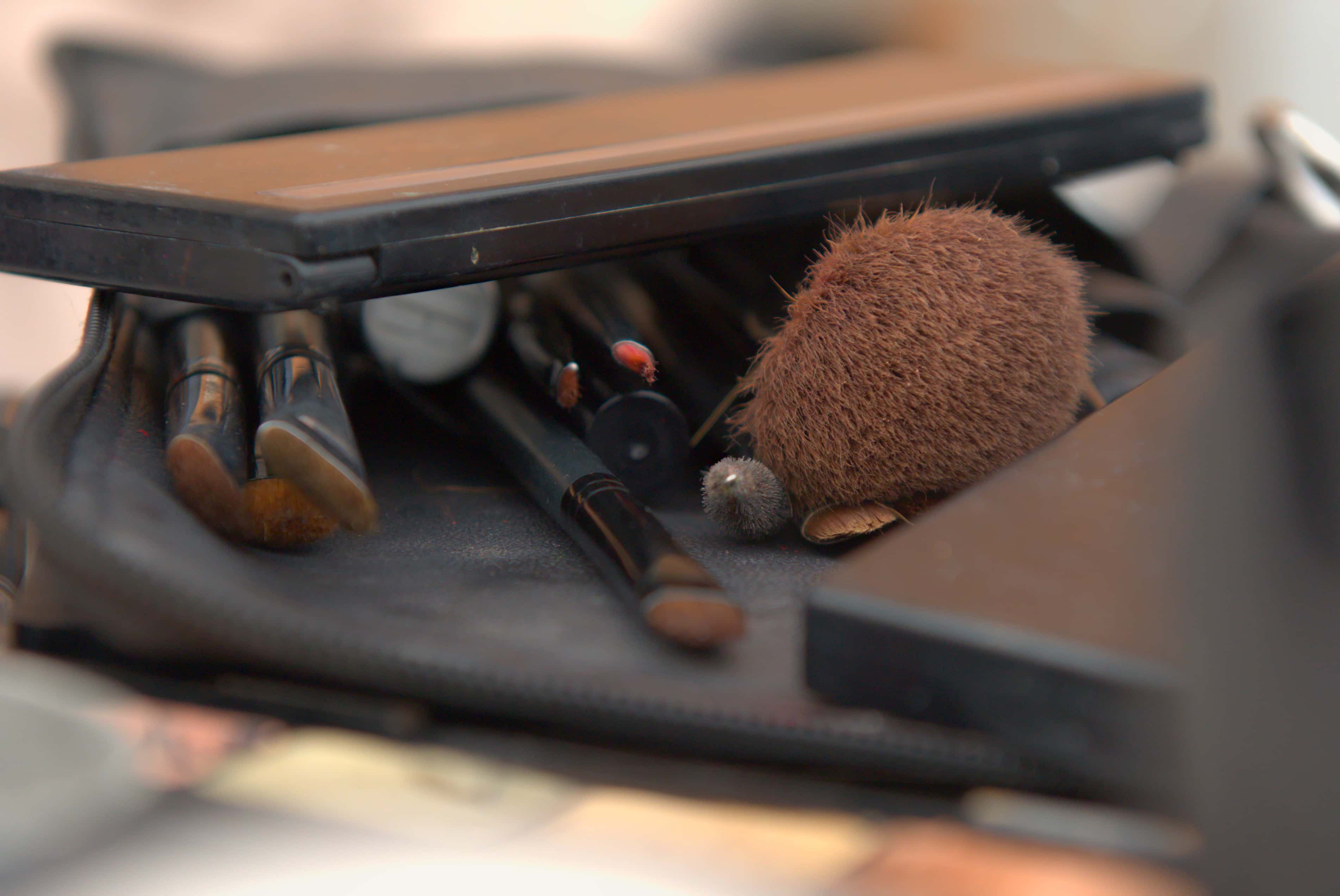 Guillermo del Toro facts