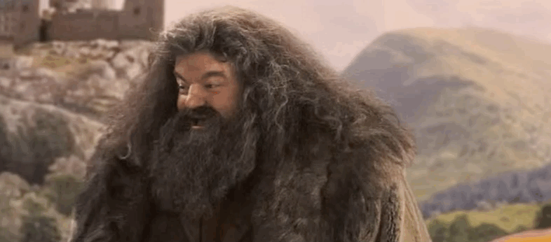 Rubeus Hagrid Facts