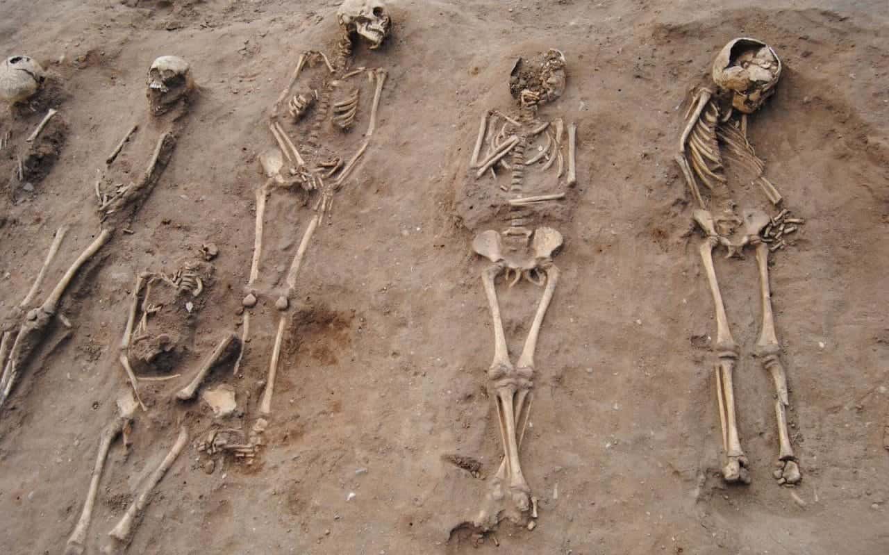 The Black Death facts