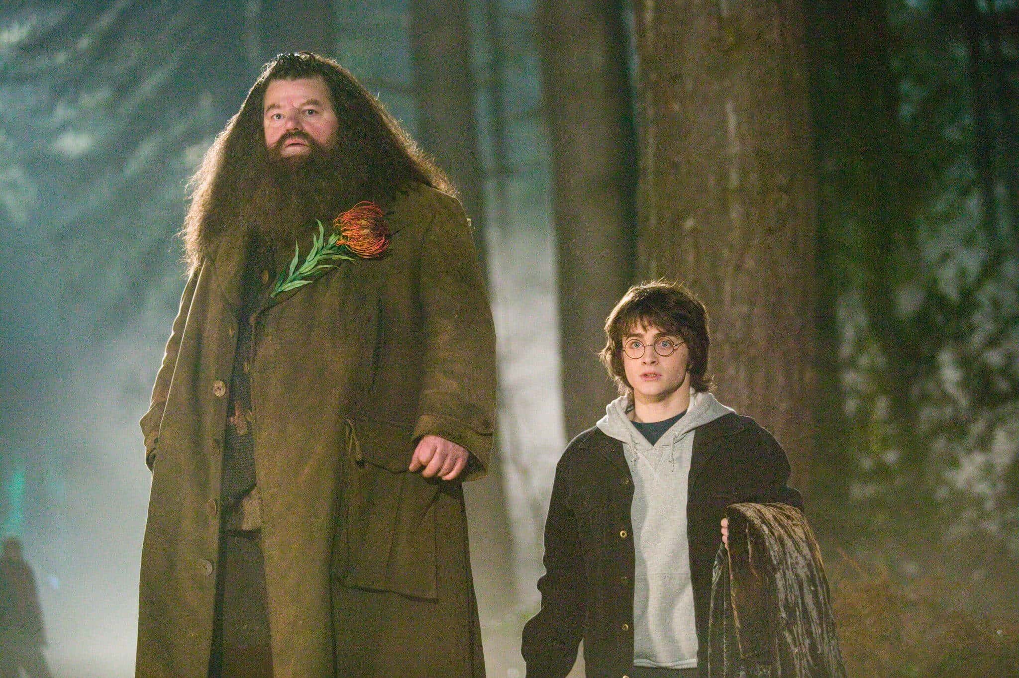Rubeus Hagrid Facts