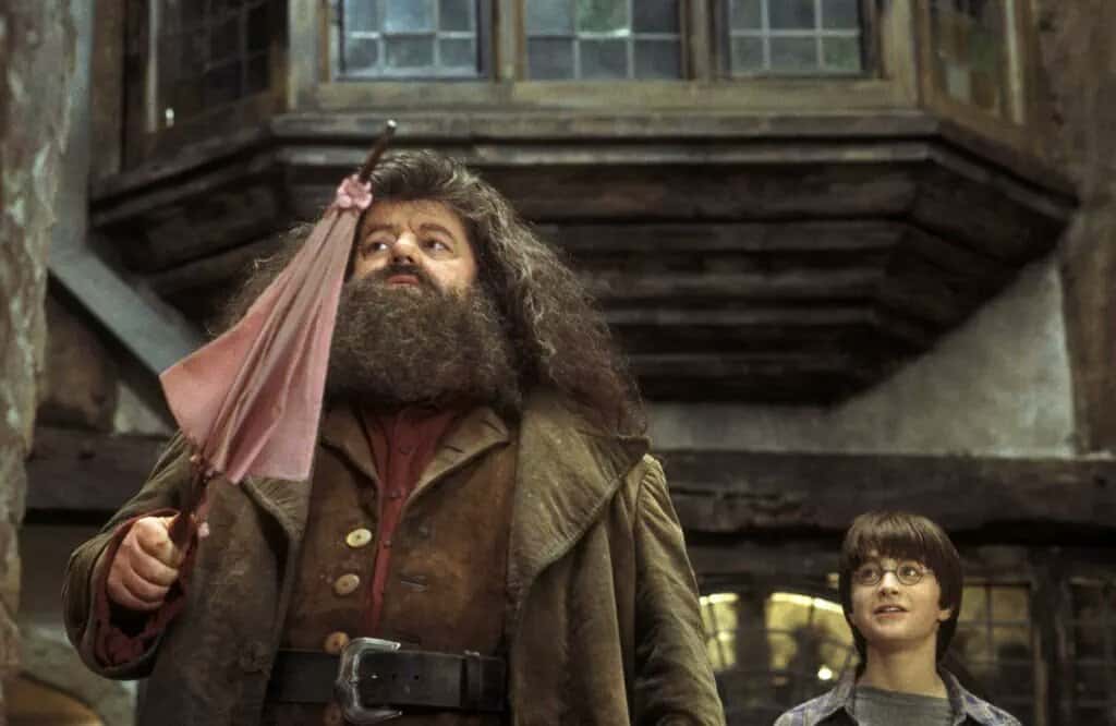 Rubeus Hagrid Facts