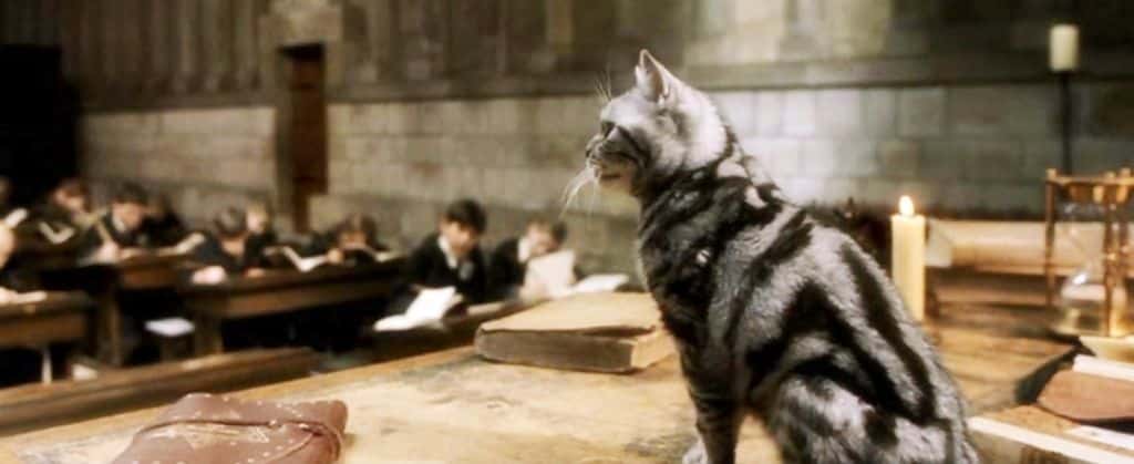 Professor Minerva McGonagall facts