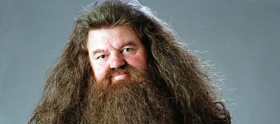 Rubeus Hagrid Facts